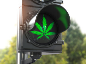 Cannabis leaf on green traffic light. Cannabis and marijuana legalization concept. 3d illustration